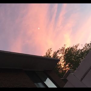 Meet your Posher, Kelsey